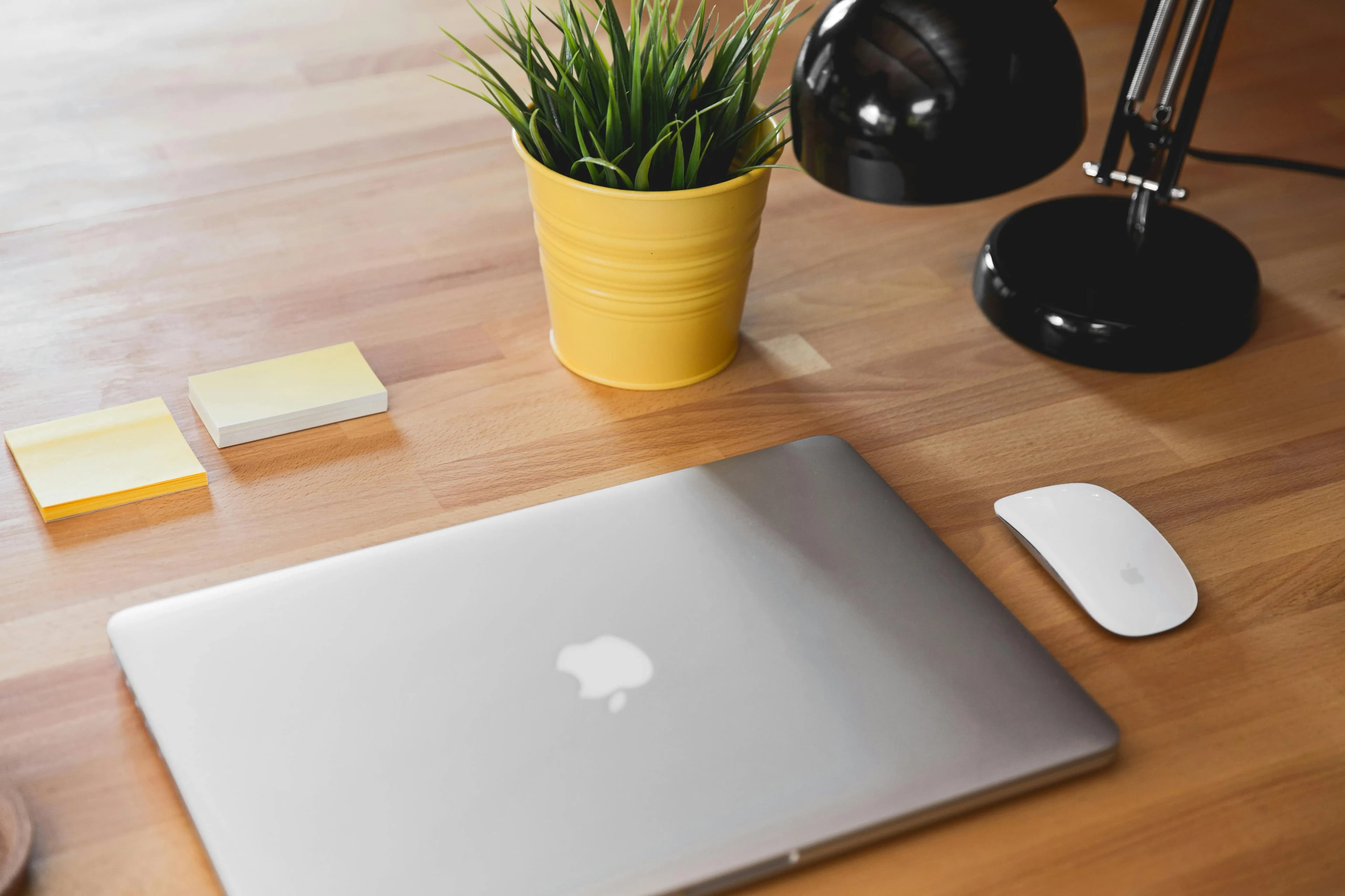Sleek laptop, plant, and desk lamp on a wooden table, a calm Mac dictation workspace