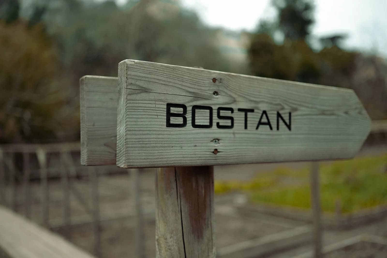 A weathered signpost pointing in two directions, illustrating a tool choice