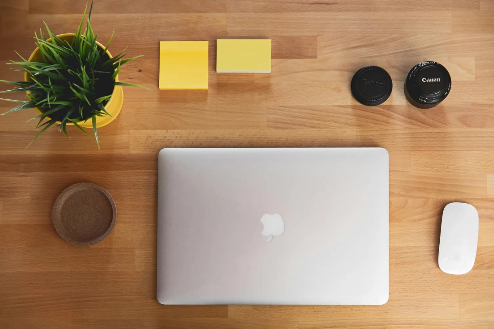Top-down view of a clean wooden workspace with a laptop and a small plant