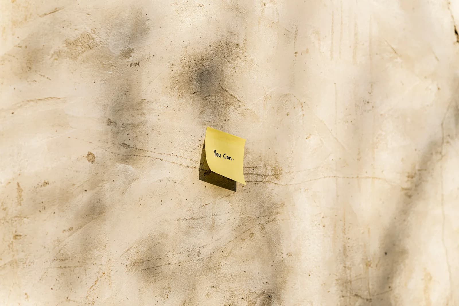 Handwritten sticky notes with names and terms on a wall, like a personal glossary