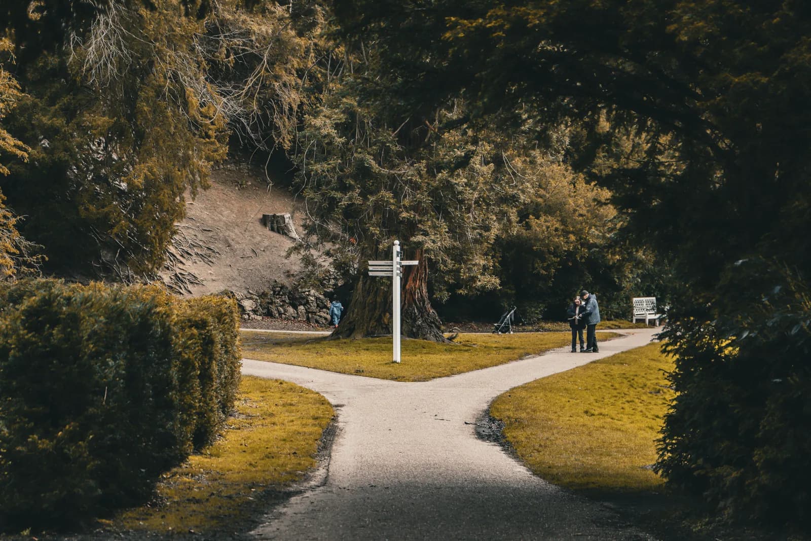Two paths diverging, illustrating the choice between the command line and a desktop app